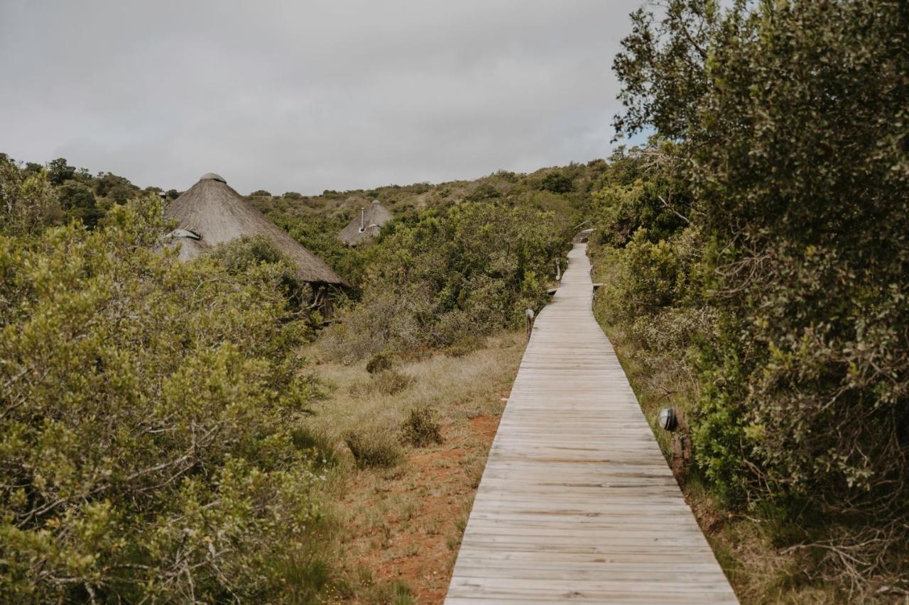 Bukela Game Lodge - Riserva Faunistica di Amakhala Esterno foto