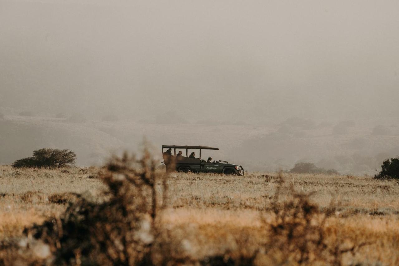 Bukela Game Lodge - Riserva Faunistica di Amakhala Esterno foto