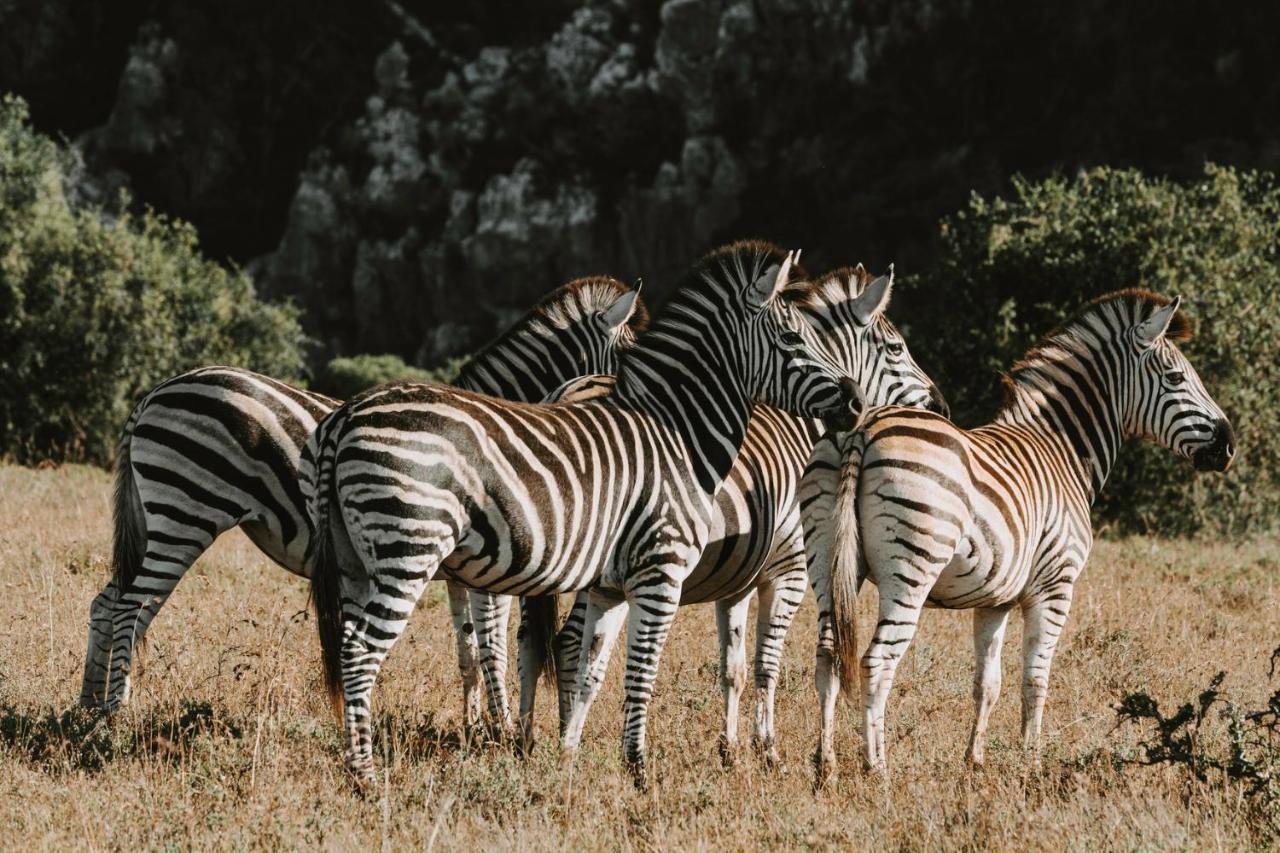 Bukela Game Lodge - Riserva Faunistica di Amakhala Esterno foto