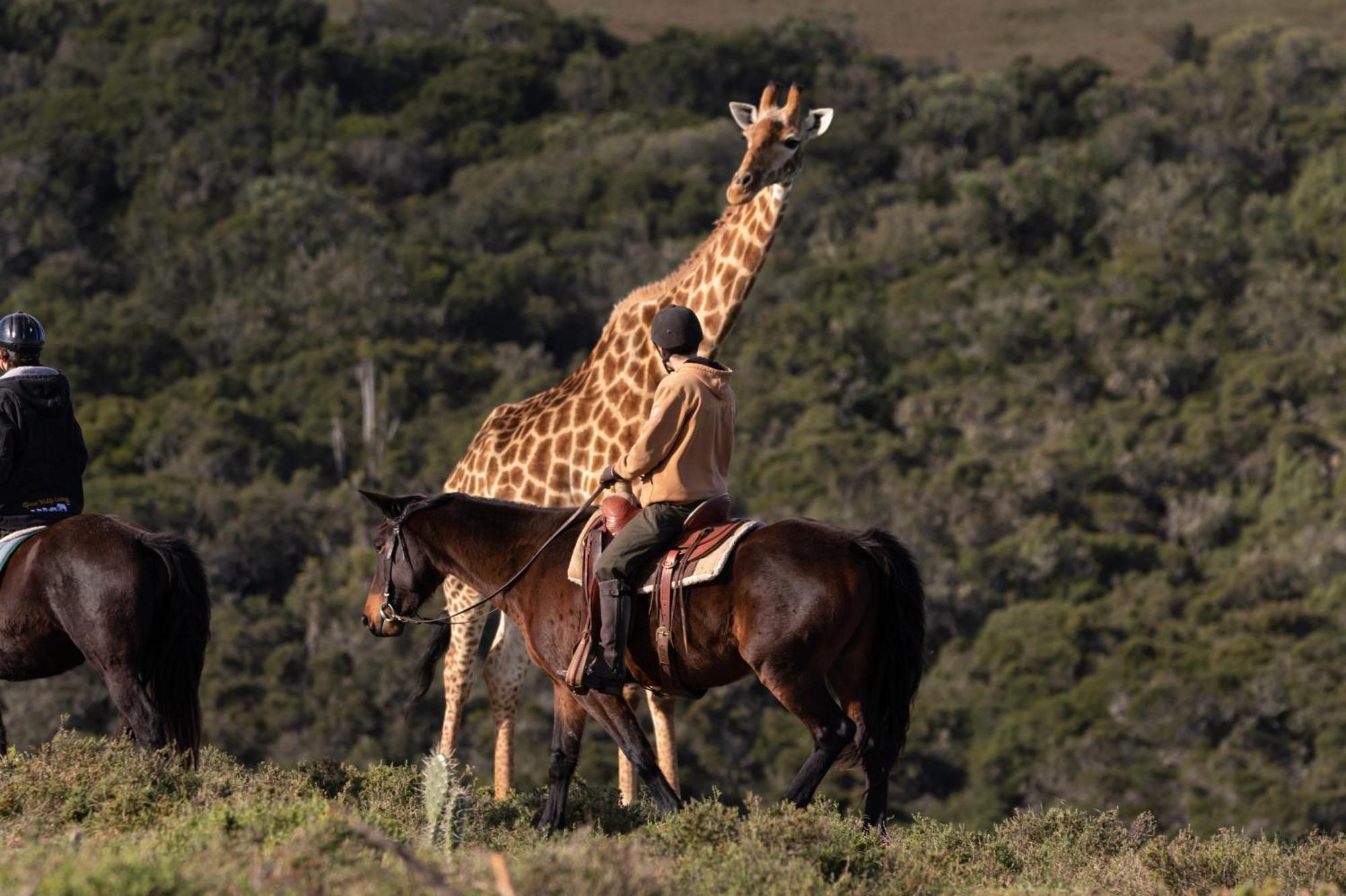 Bukela Game Lodge - Riserva Faunistica di Amakhala Esterno foto