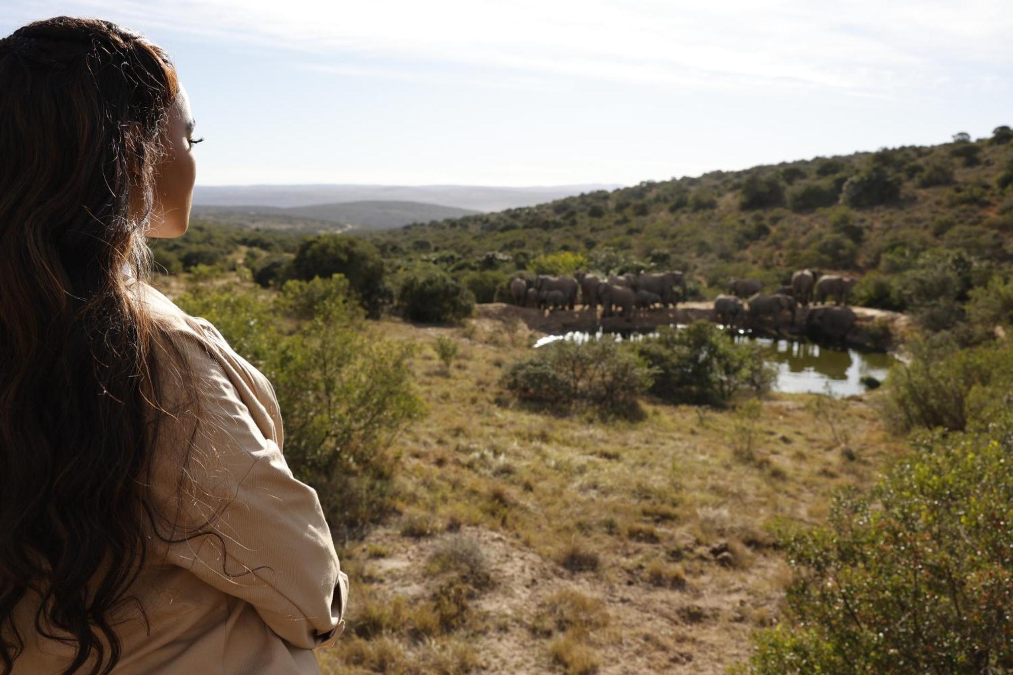 Bukela Game Lodge - Riserva Faunistica di Amakhala Esterno foto